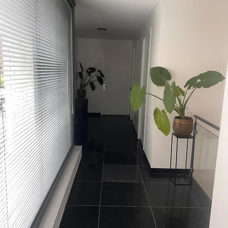 빌라 Detached With Garden Oasis Bergschenhoek