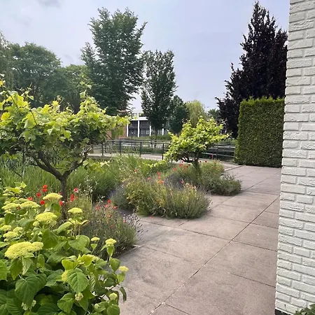 Detached With Garden Oasis